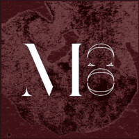 Madness Consulting Logo