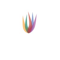 Phoenix Property Services, LLC Logo