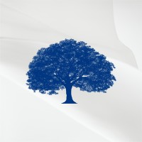 TIMENI Gestão | Sucessão Familiar Logo