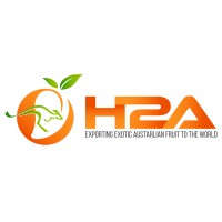 H2A Trading International Pty Ltd Logo
