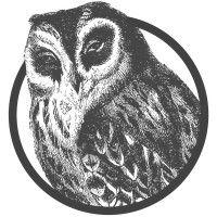 Effin Birds Logo