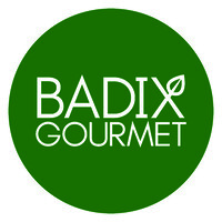 Badix Logo