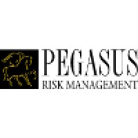 Pegasus Risk Management, Inc Logo