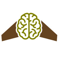 Smart Squadron Logo