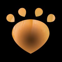Productions Ondinnok Logo