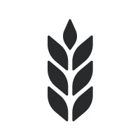 Rye Labs Logo