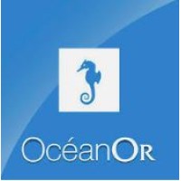 OcéanOr | Bijoutier Créateur Logo