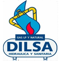 Dilsa Logo