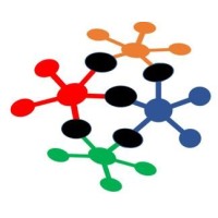 Professional Market Access, Inc. Logo