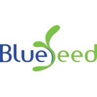 Blueseed Group Logo
