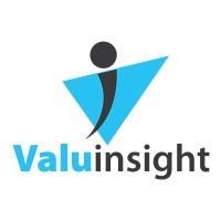 ValuInsight Logo
