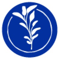 BLUEROOT Logo