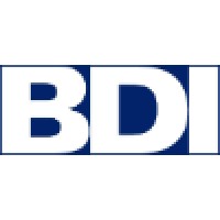 BDI CORPORATIVO Logo