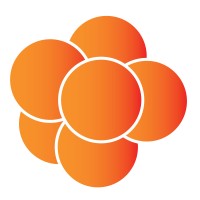 Kloudberry LLC Logo