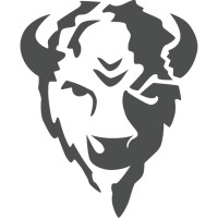 Bison Technologies Logo