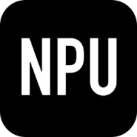 Next Player Up Logo