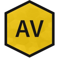 Analytic Vizion Logo