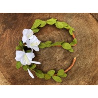 Econnection Project Logo