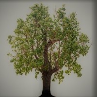 Reimer Growth Consulting Logo