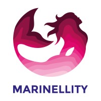 Marinellity Strategic Marketing and Customer Experience Optimization Logo