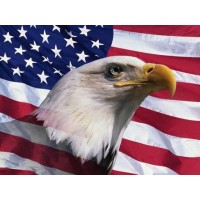 Veterans Choice Carpet Cleaning LLC Logo