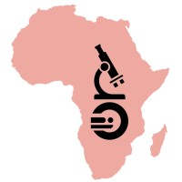 Sub-Saharan Africa Healthcare Initiative Logo