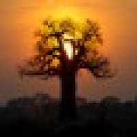 LAINA Pro, Inc. Logo