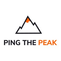 PING THE PEAK - Custom Software Development Logo