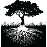 Coach Mentor Consult Limited - Lee Hawkins Logo
