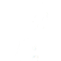 PAGE DEACTIVATED Logo