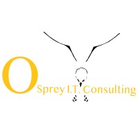 Osprey I.T. Consulting Logo