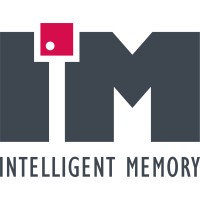Intelligent Memory Logo