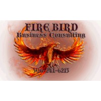 Firebird Business Consulting Ltd. - Business Consulting - Saskatoon - Regina - Saskatchewan - Canada Logo