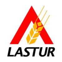 LASTUR SA DE CV Logo