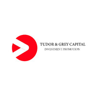 Tudor & Grey Capital Logo