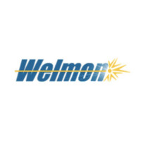 WELMON S DE RL DE CV Logo