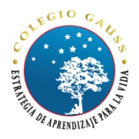 Colegio Carl Friedrich Gauss Logo