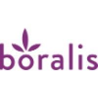 Boralis BV Logo