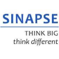 Singapore Institute for Neurotechnology (SINAPSE) Logo
