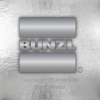 Bunzl de México Logo