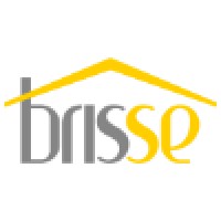 Brisse (*Brizzy) Logo