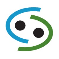 Vital Decisions Logo