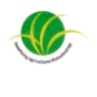 CLASSIC CHEMICALS Logo