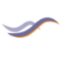 Strategic Success Systems Logo