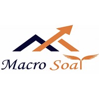 Macro Soar Logo