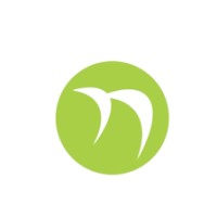 Narayani Heights Logo