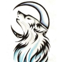 Above Alpha Solutions Logo