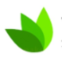 Wiztelsys Server Technologies Logo