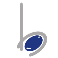 BlueStone Tech Labs Pvt Ltd Logo