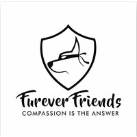 Furever Friends Foundation Logo